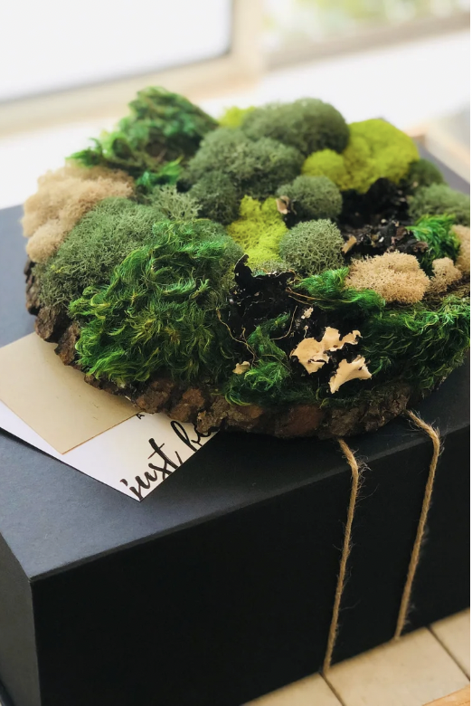 Screenshot 2026-03-09 at 4.47.13 PM.png