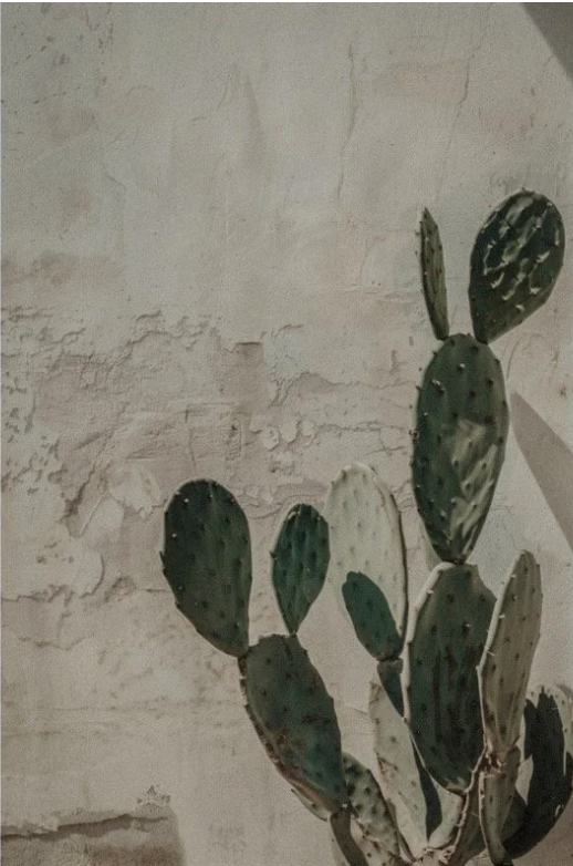 Screenshot 2026-03-09 at 4.47.50 PM.png