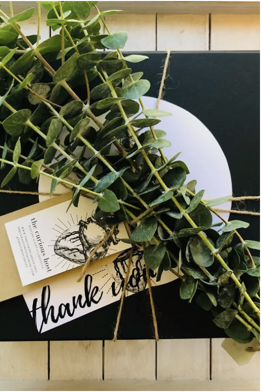 Screenshot 2026-03-09 at 4.49.22 PM.png