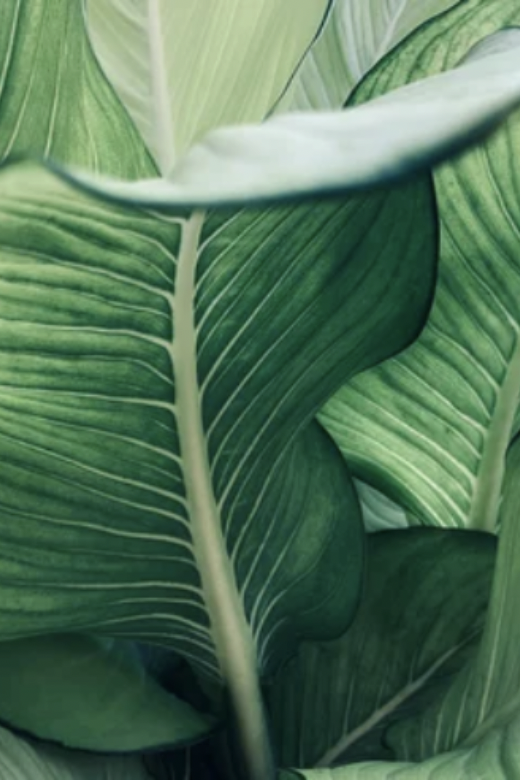 Screenshot 2026-03-09 at 4.49.46 PM.png