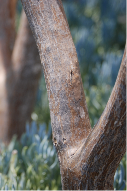 Screenshot 2026-03-09 at 4.50.32 PM.png