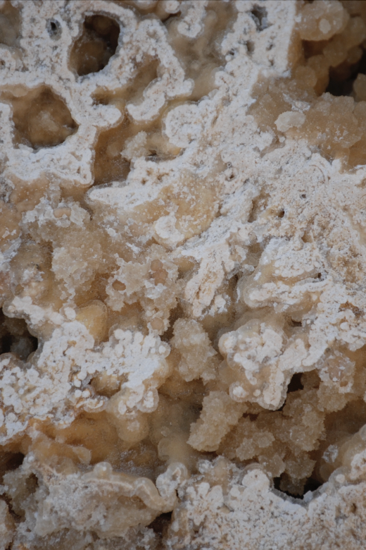 Screenshot 2026-03-09 at 4.51.48 PM.png