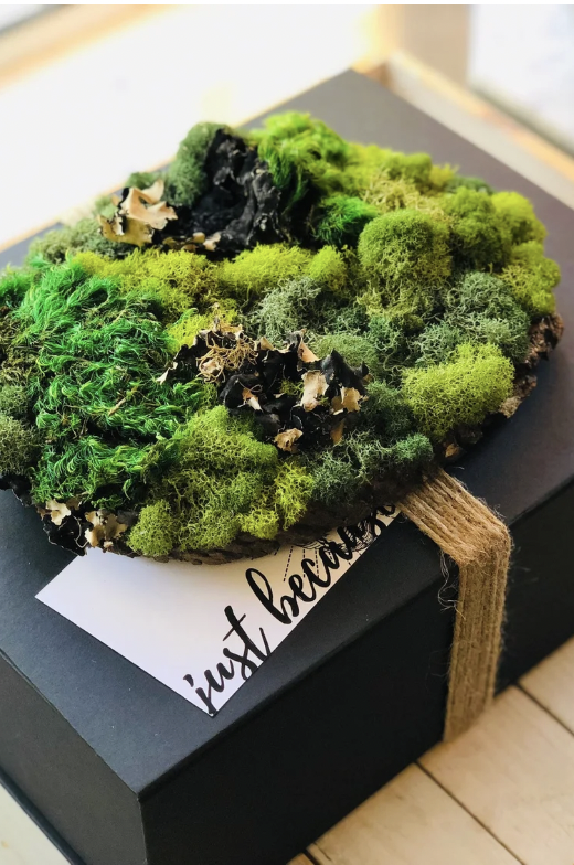 Screenshot 2026-03-09 at 4.52.26 PM.png