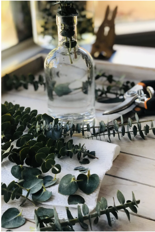 Screenshot 2026-03-09 at 4.53.11 PM.png