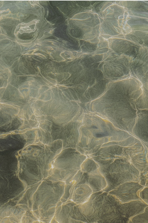 Screenshot 2026-03-09 at 4.53.16 PM.png