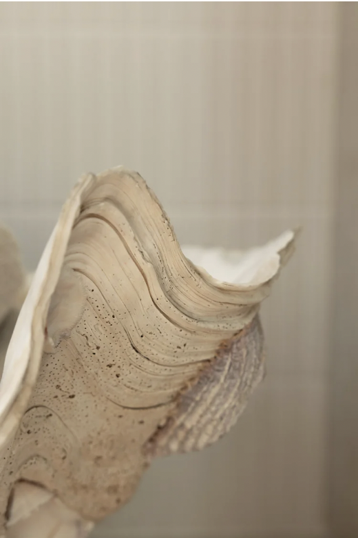 Screenshot 2026-03-09 at 4.53.36 PM.png