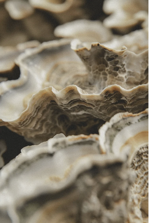 Screenshot 2026-03-09 at 4.41.34 PM.png