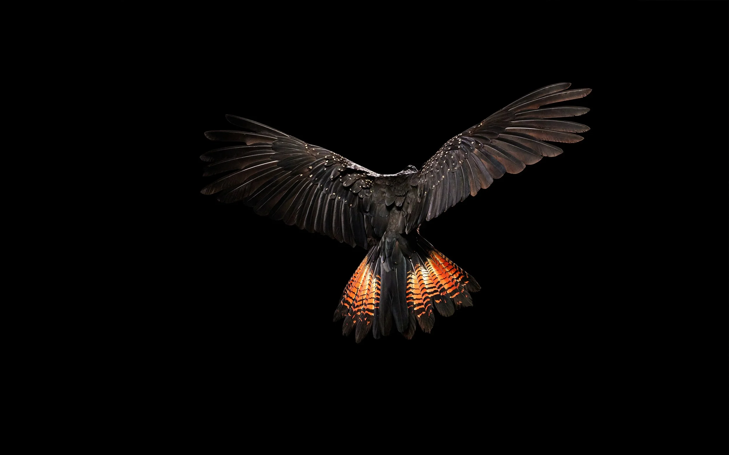 Studio Mondo Darren Kong.jpg