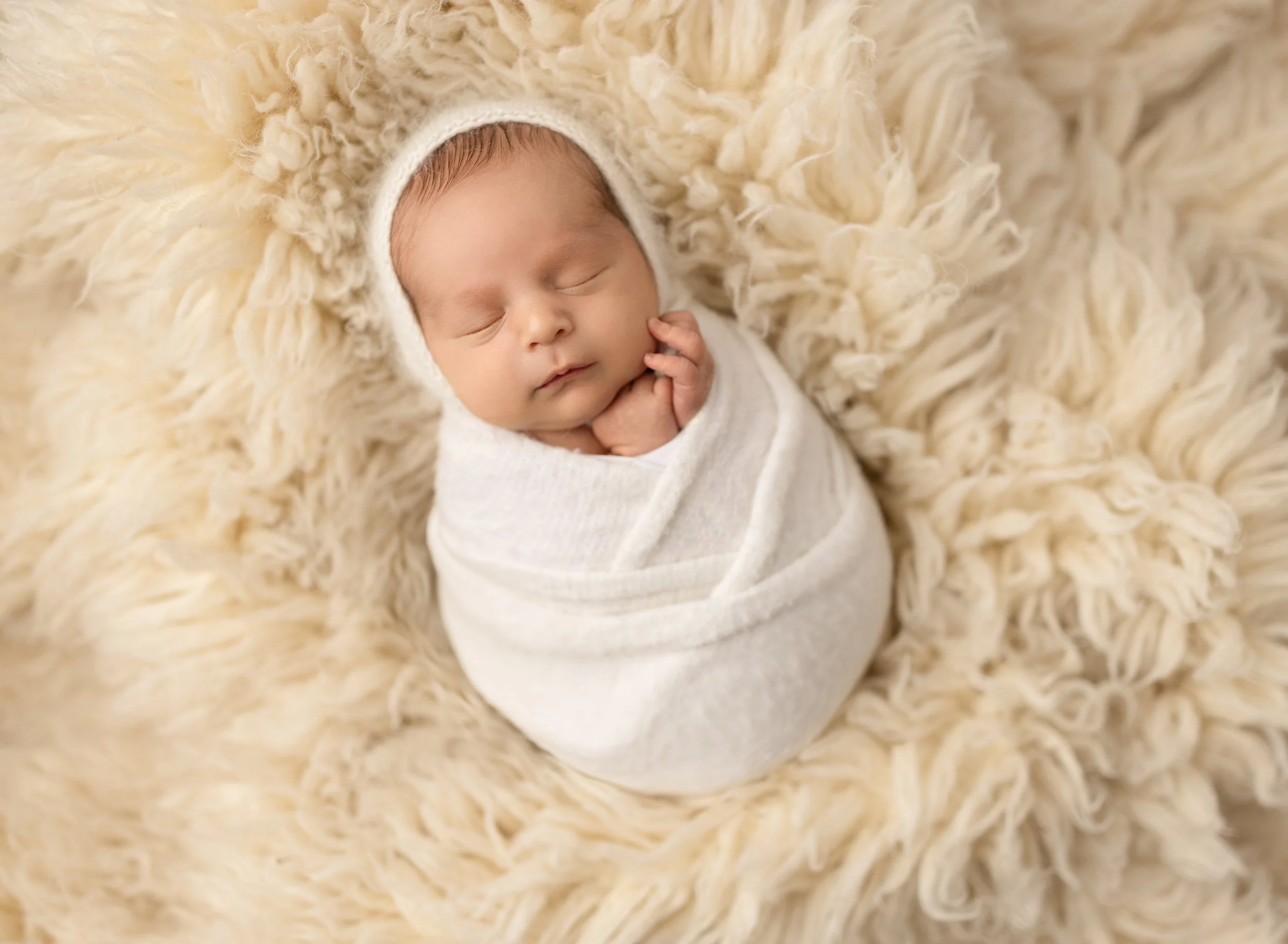 020A1559-Edit-Edit copy.jpg