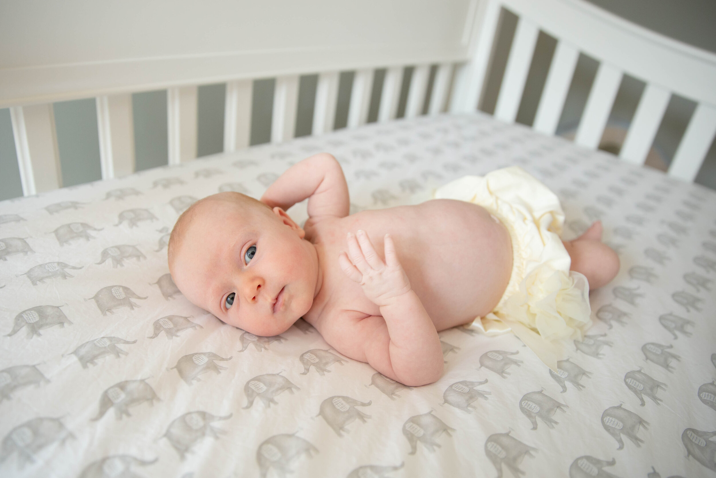 Lo_Austin_Newborns (2).jpg