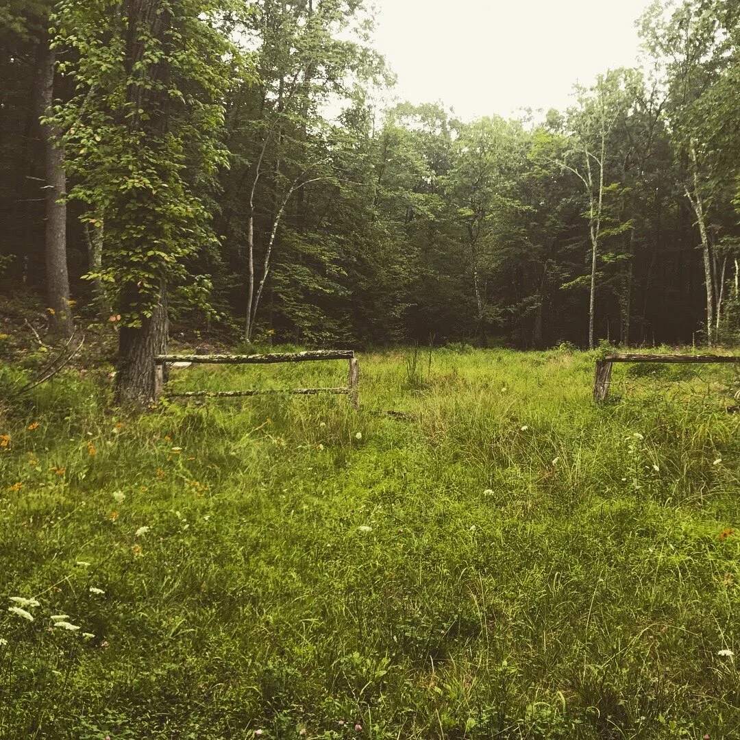 YOU ARE NOT ALONE: Resources for Suicide, Crisis, Grief, Domestic Violence, LGBTQIA+, BIPOC, Psychotherapy & More