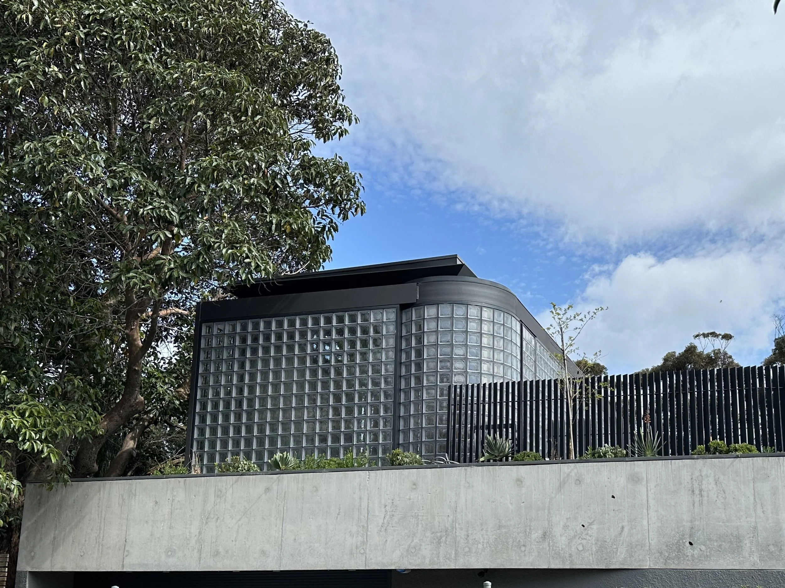 IMG_6906 (Cropped and Rotated).JPEG