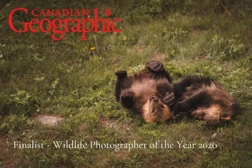 In the Moment - Brother Bear