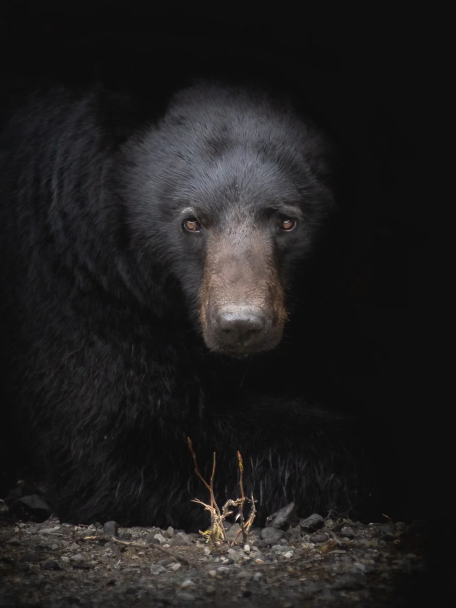 In The Moment - Bin Juice