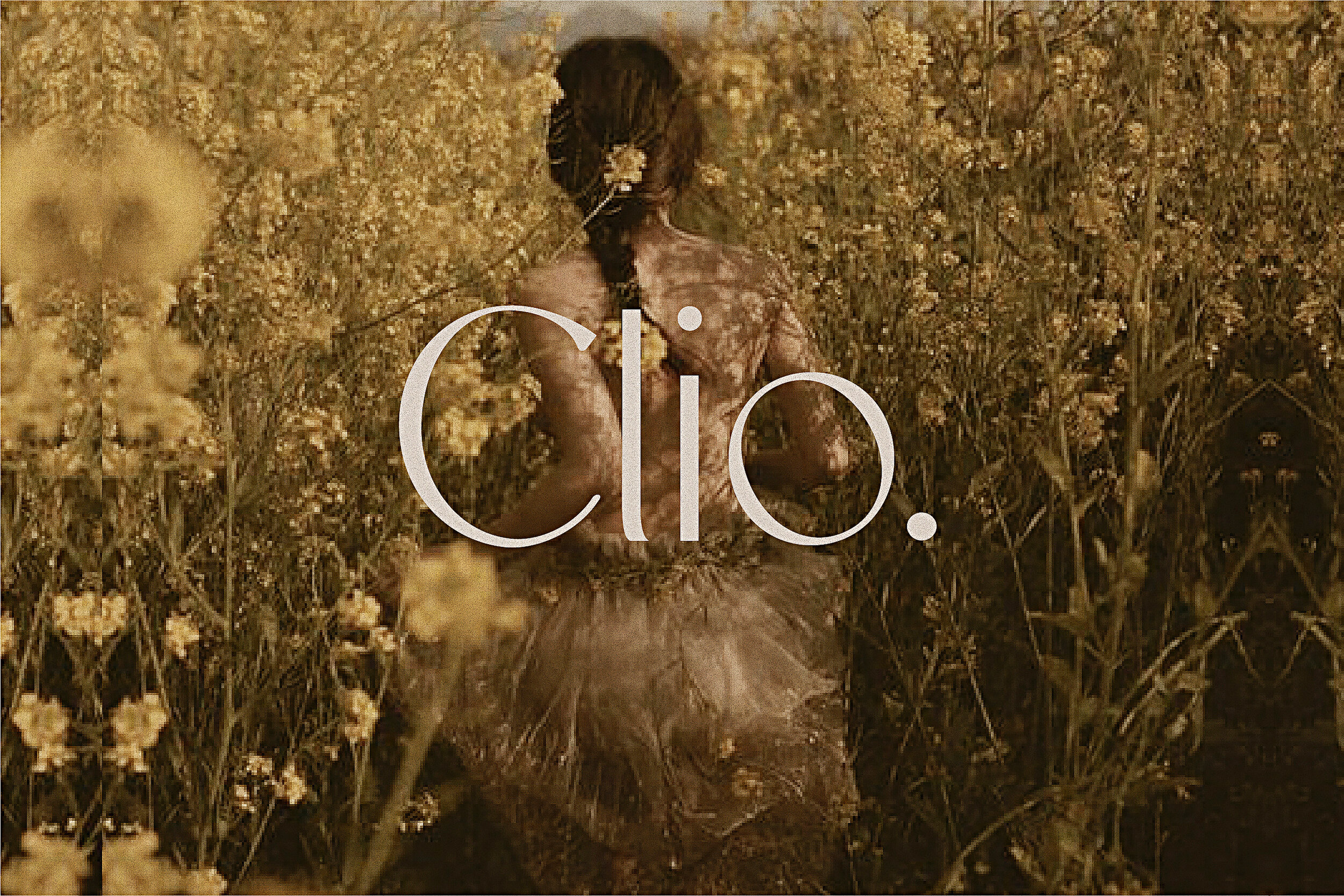 Clio | Webfont 10k pageviews / month