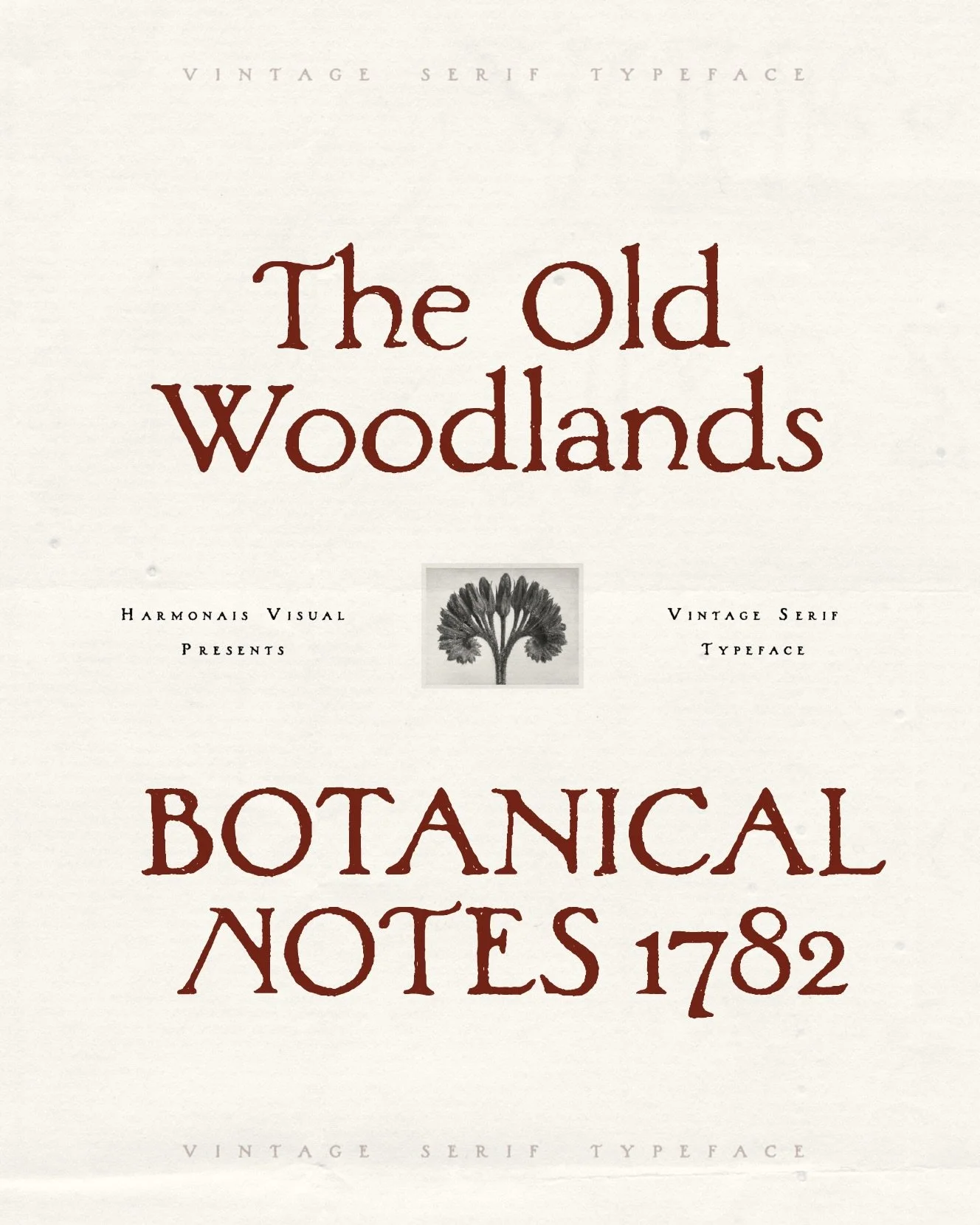 Meet Woodlands, our newest hand-painted vintage serif. She&rsquo;s a little imperfect in all the sweetest ways, with soft, weathered strokes that feel calm, cozy, and slow-made.

She&rsquo;s got that warm old-world vibe we&rsquo;ve been clinging to a