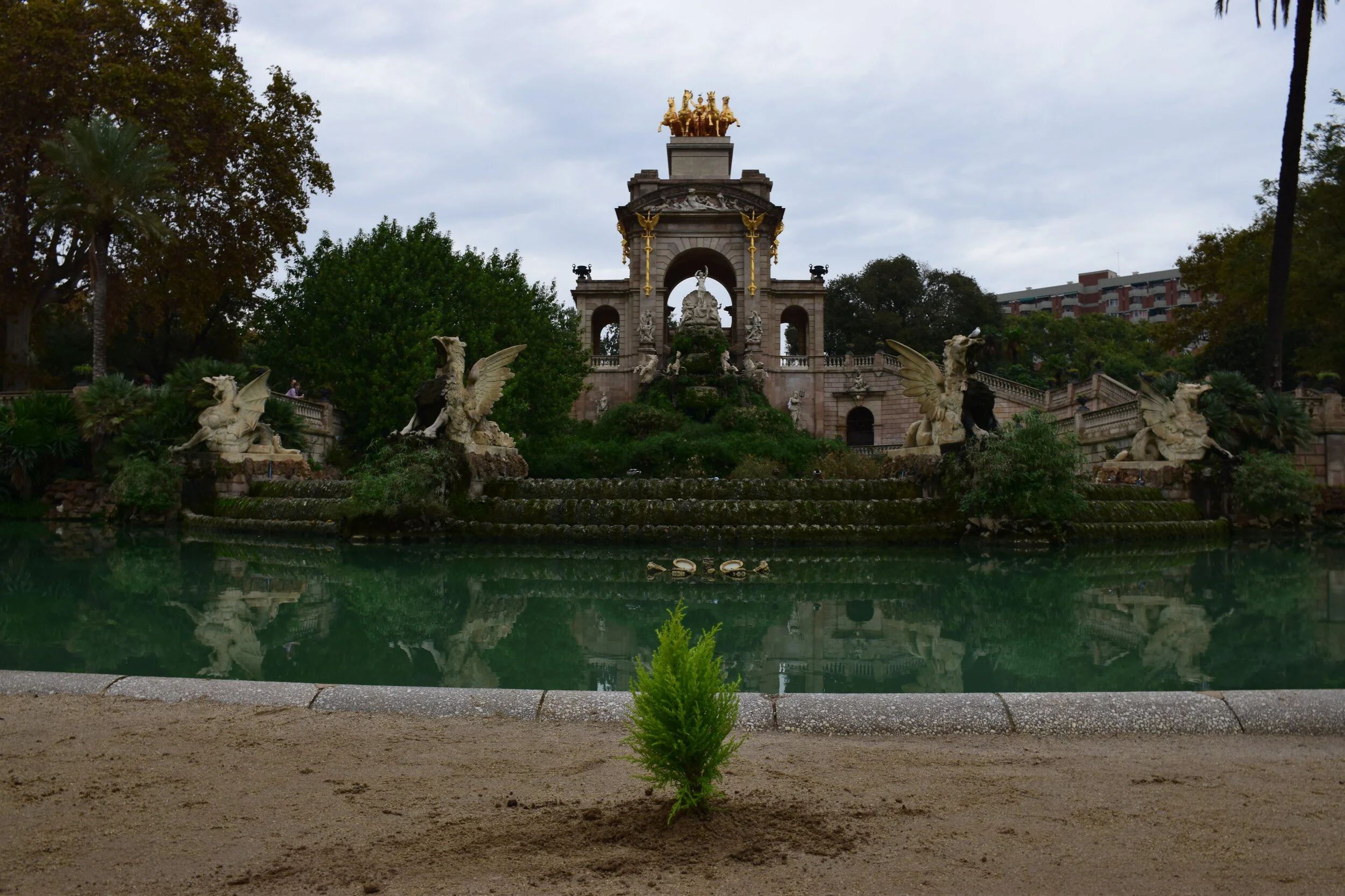 DSC_0236.JPG
