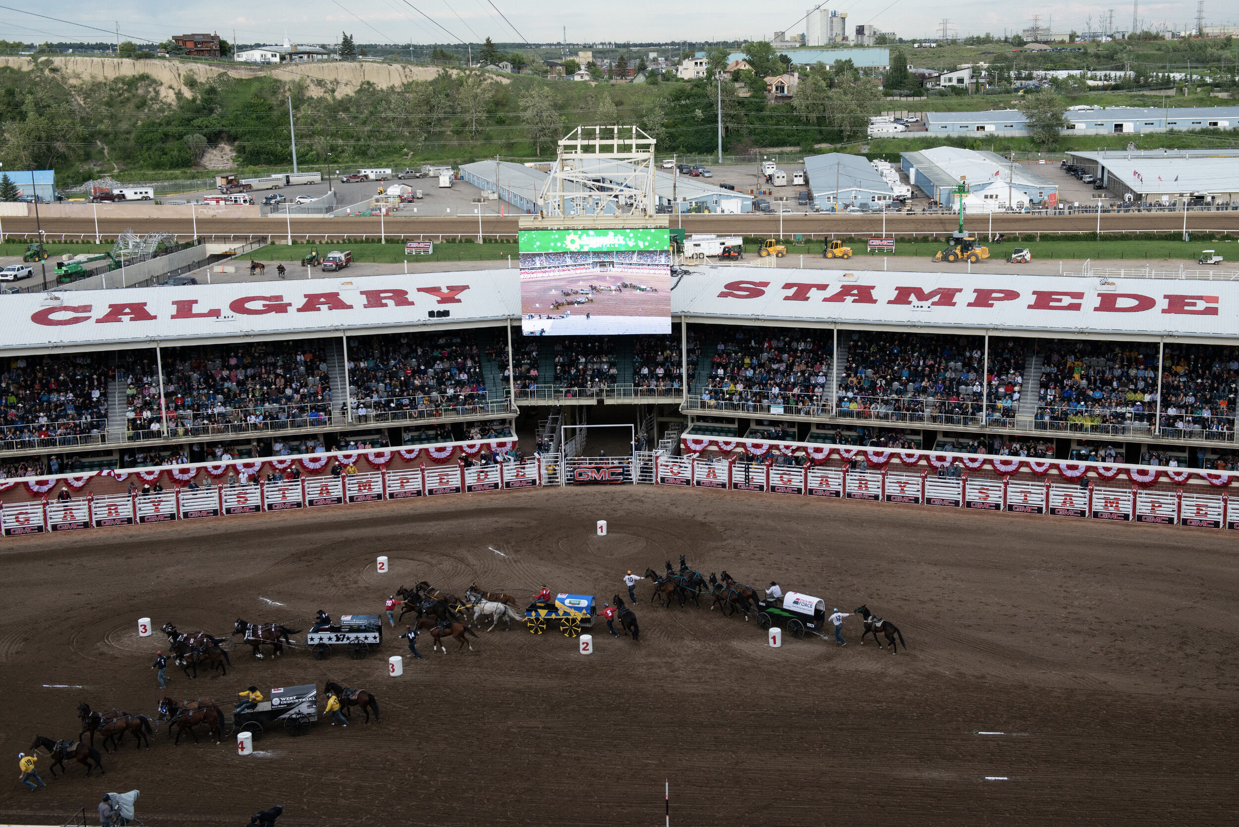 Stampede.jpg