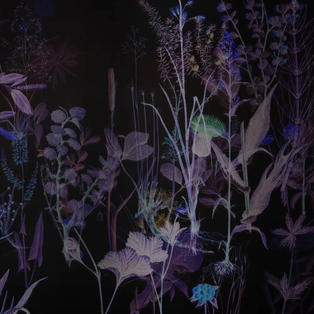 Ánnámáret´s Njáhcu single released