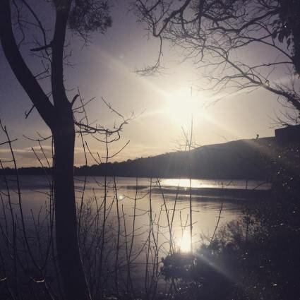 Thoughts at the End of a Long Year