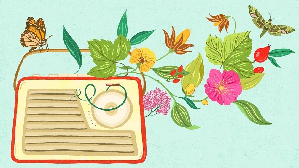 Few and Far Between on BBC Radio 4's Book at Bedtime