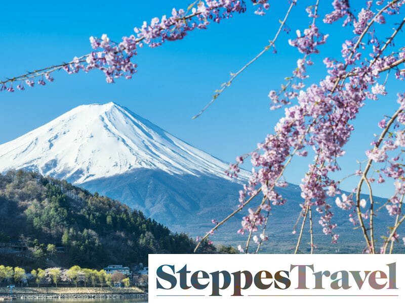 steppes-travel-japan.jpg