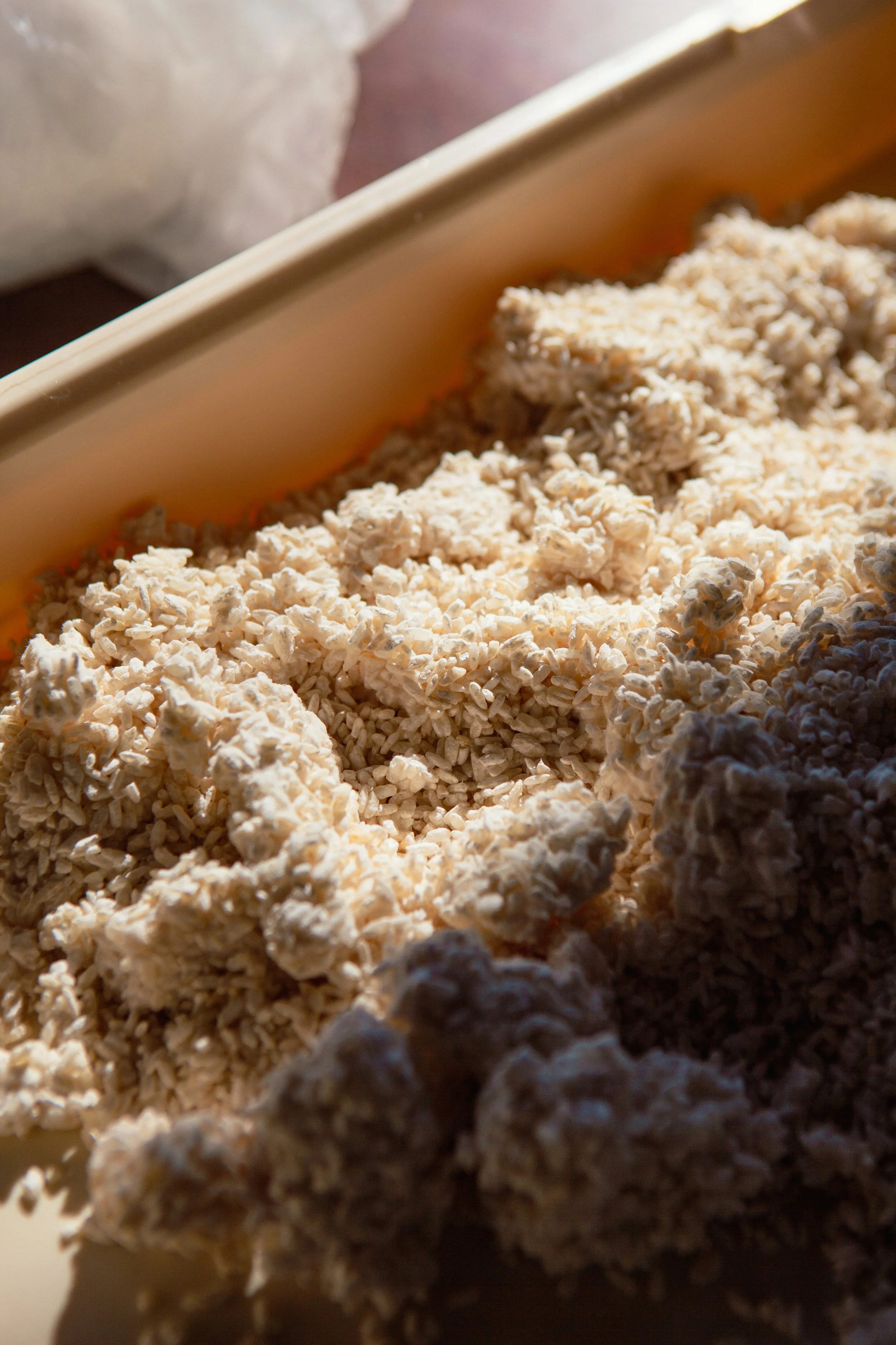 TJP high res-212-koji miso.jpg