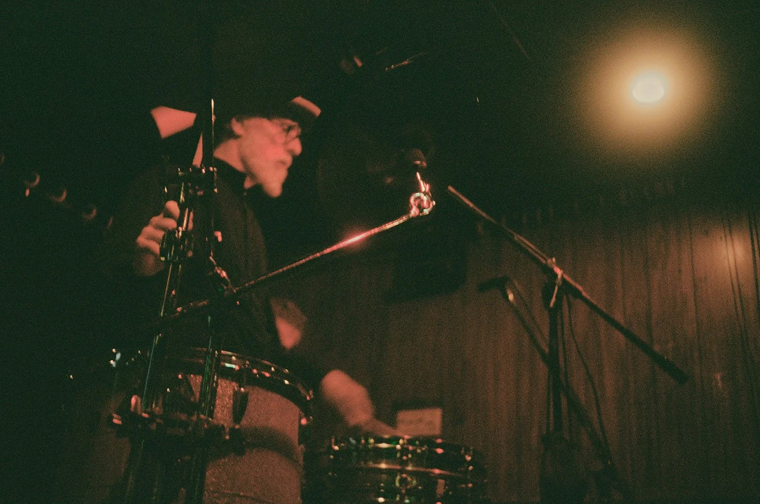 Mojo Monkeys / David Raven