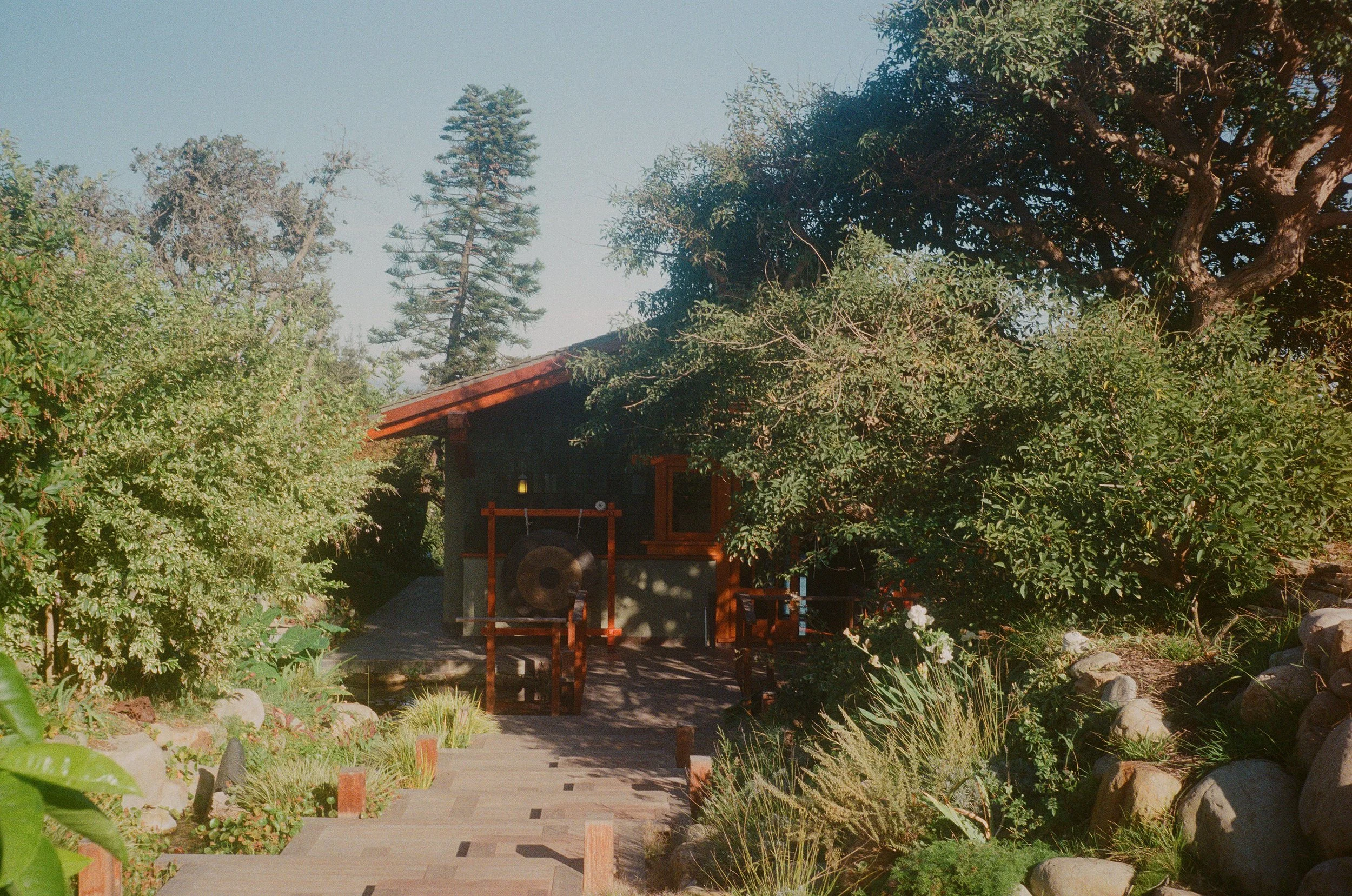 The Woodshed / Richard Gibbs