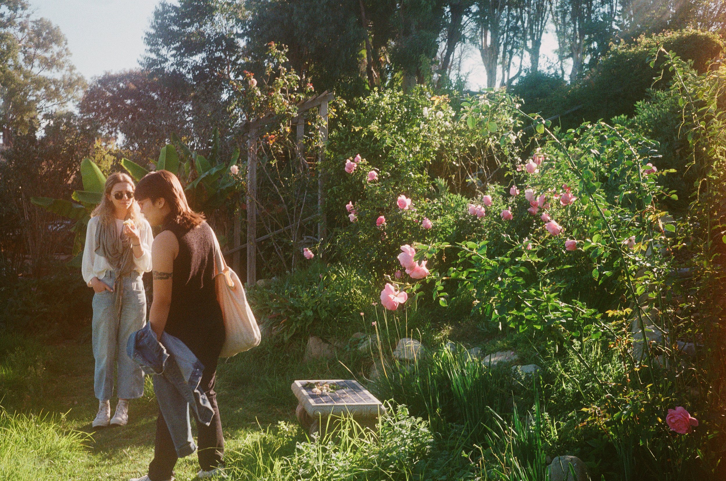 327861-01-0030 copy.jpg