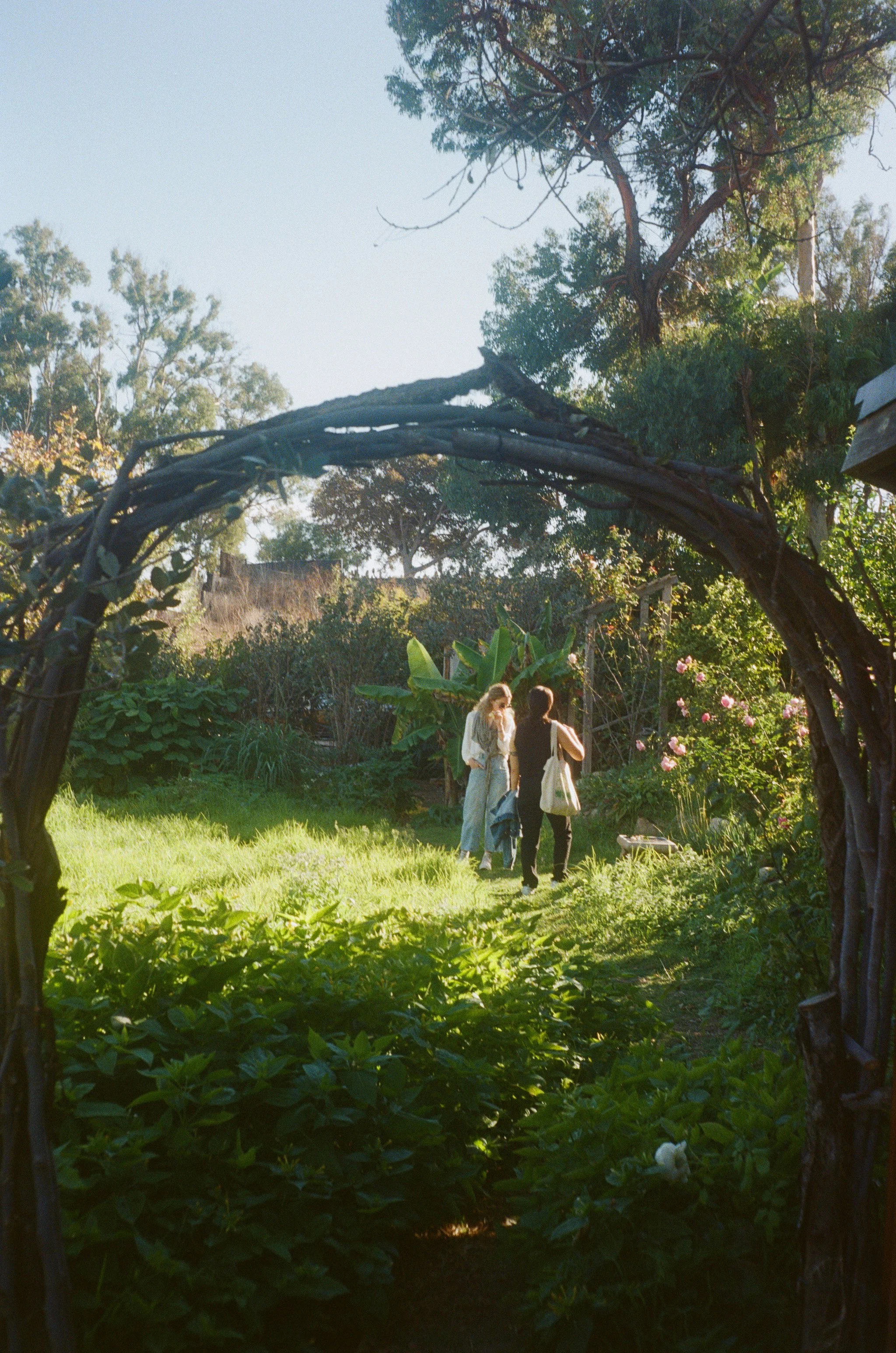 327861-01-0029 copy.jpg