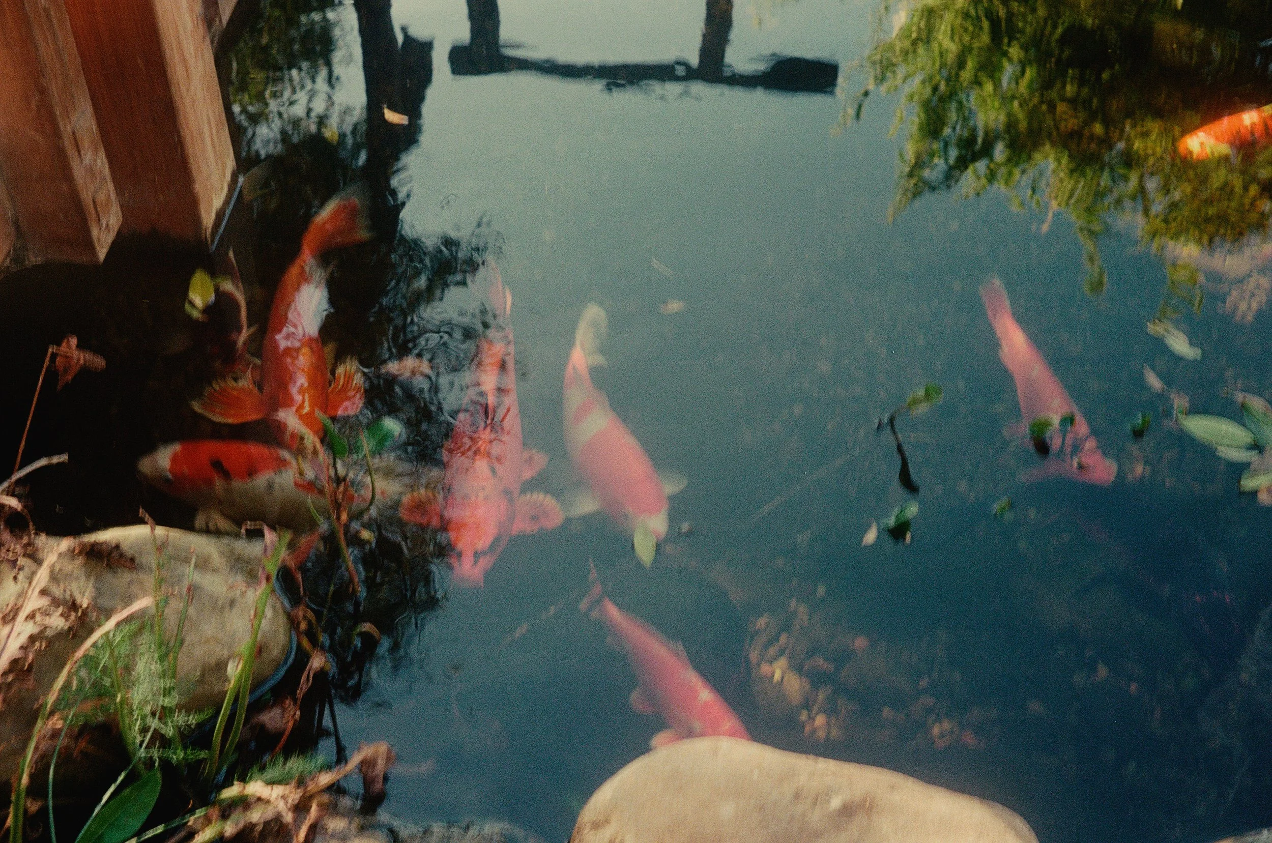 327861-01-0026 copy.jpg