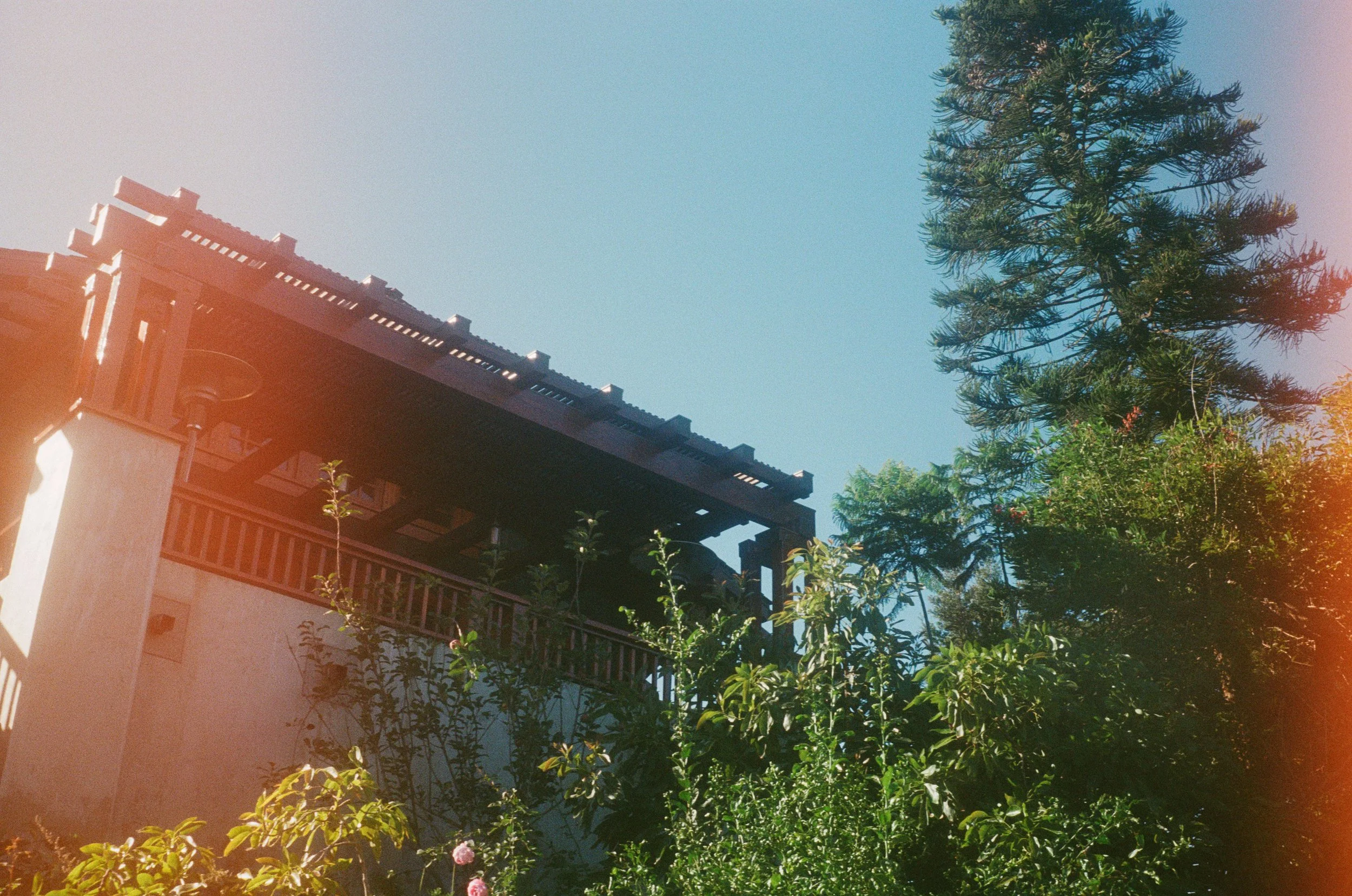 327861-01-0031 copy.jpg