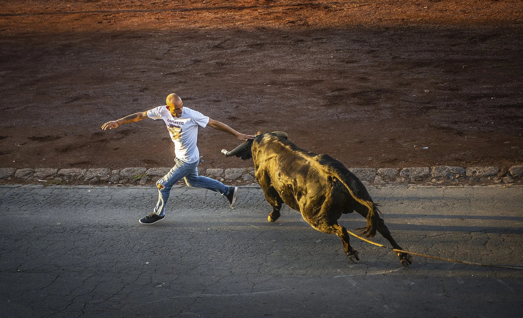 bullrun 2.jpg