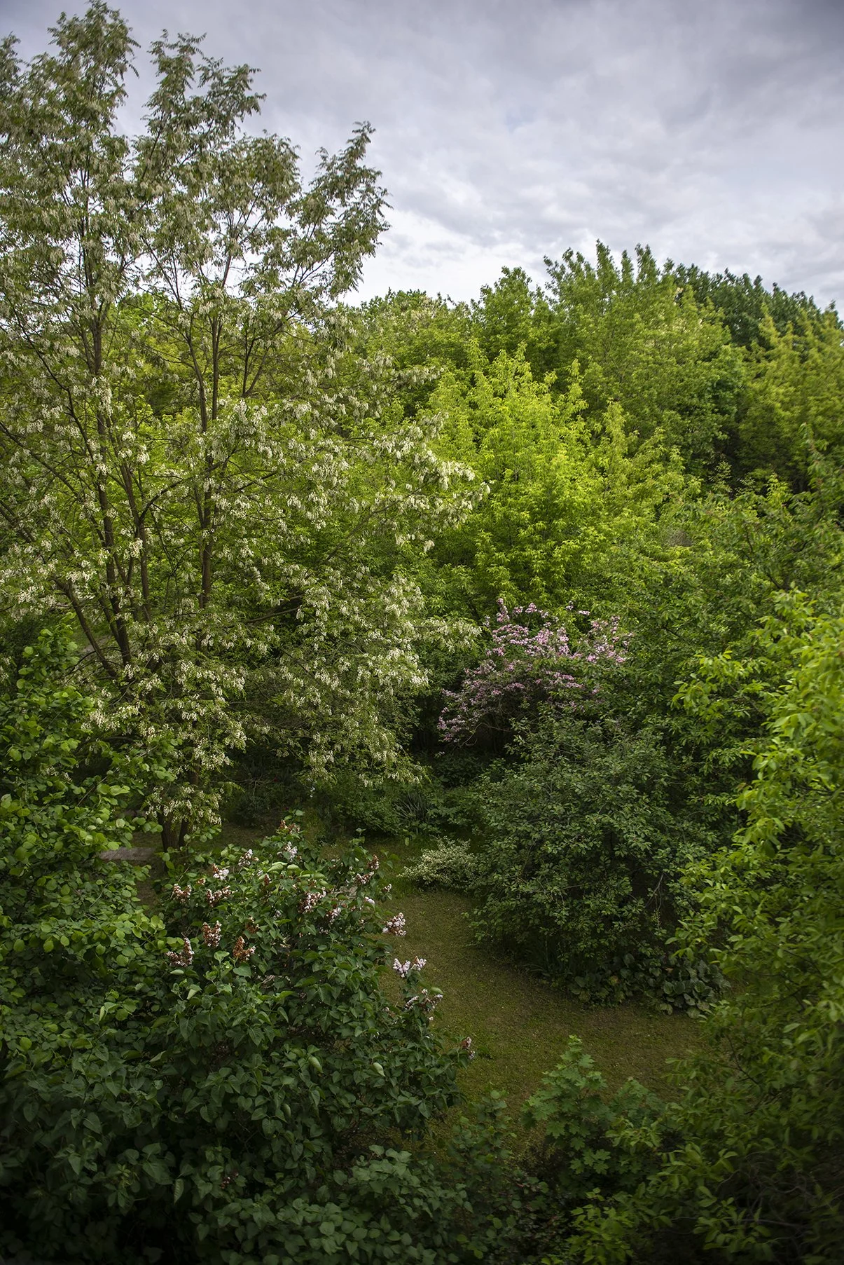 DSC_5808.jpg
