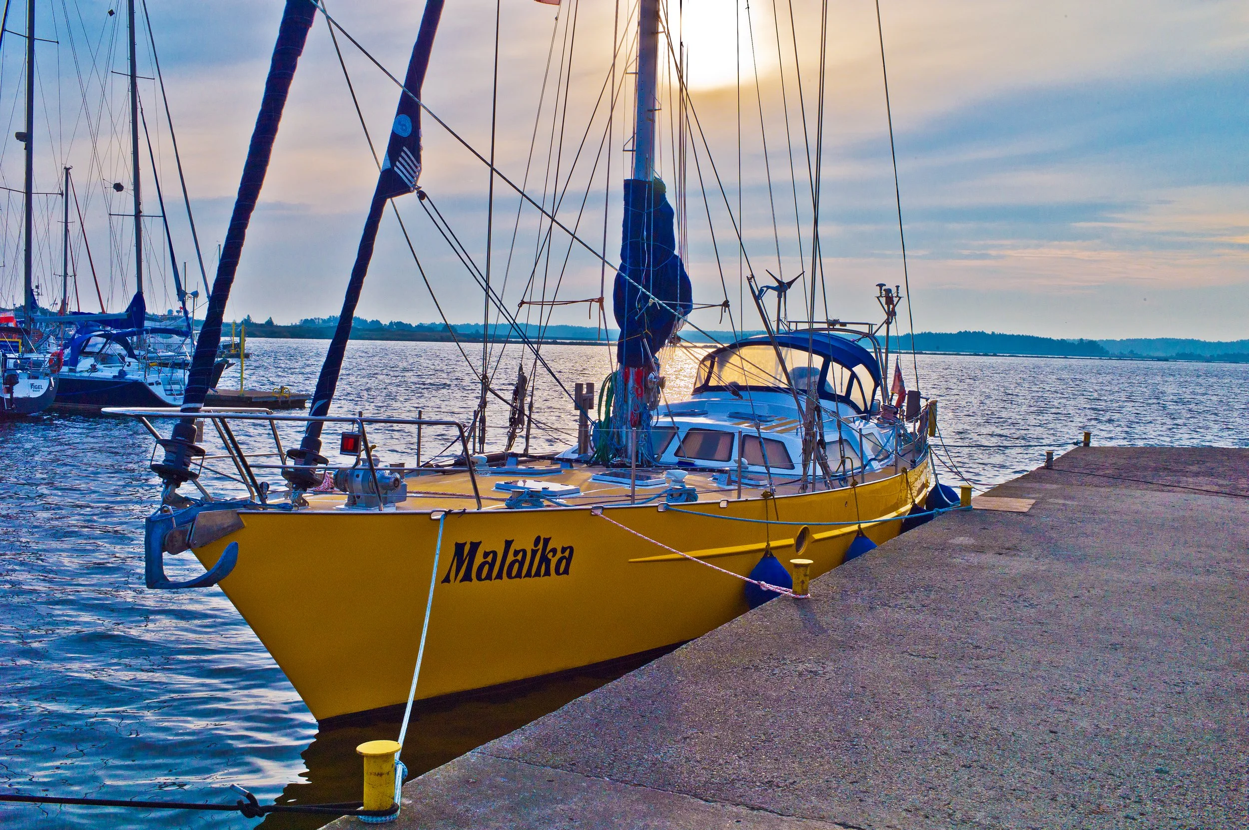 [Imagen: Malaika1.jpg?format=2500w]