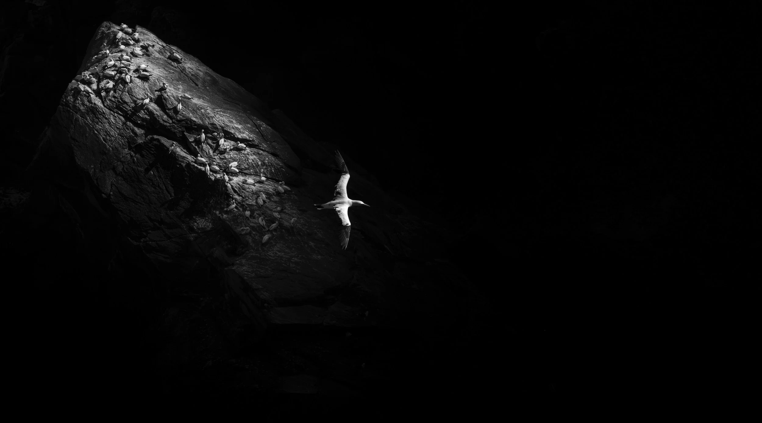 Light, and working with it will be a strong component of the week ©Rachel Bigsby