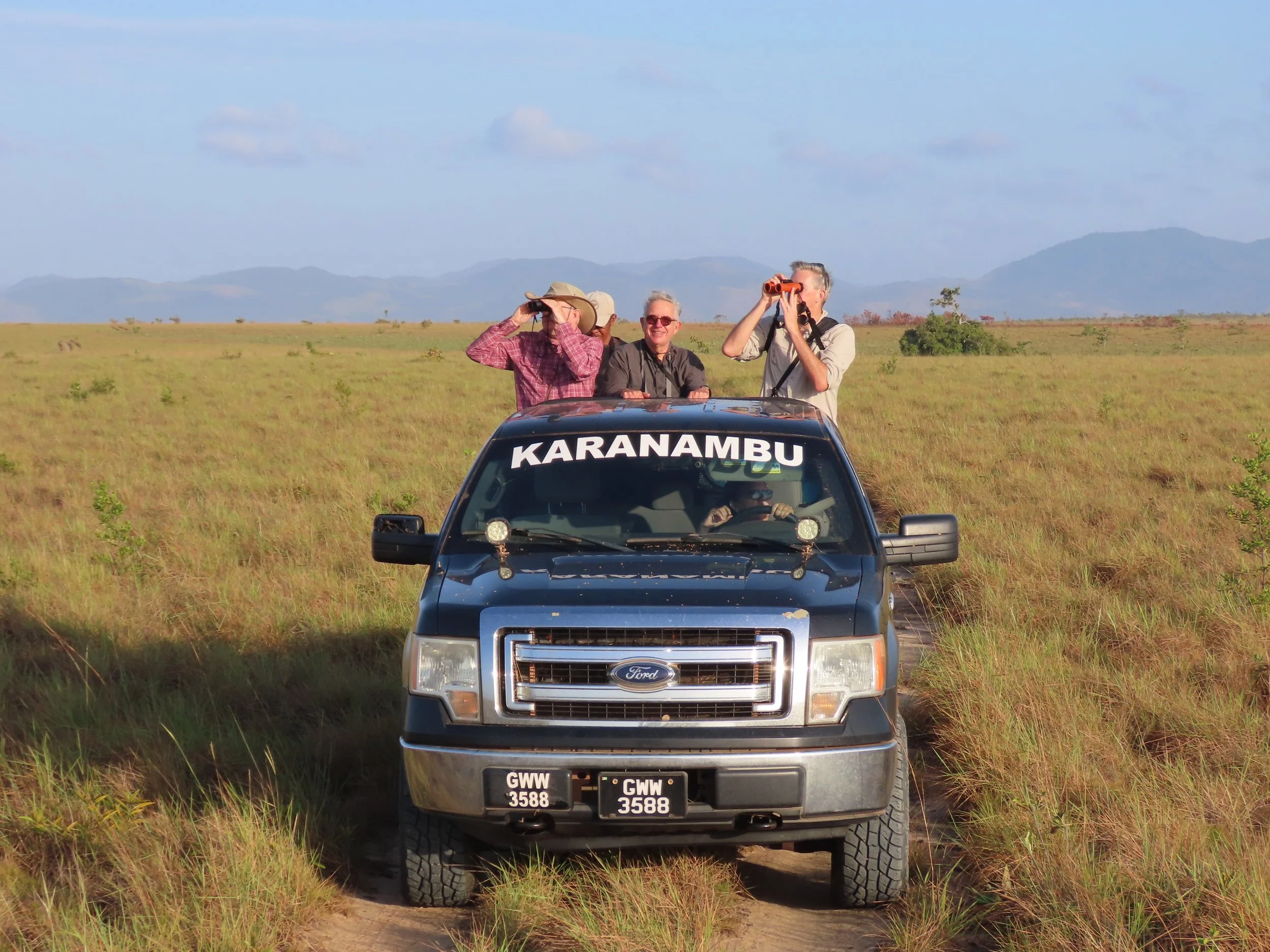 Exploring the savannah at Karanambu