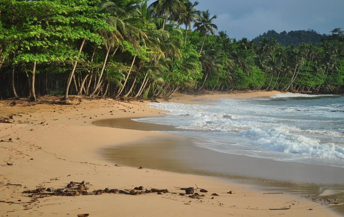 PHOTO-2020-05-29-21-13-10 (002).jpg