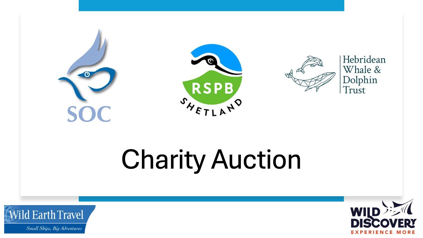 Charity Auction