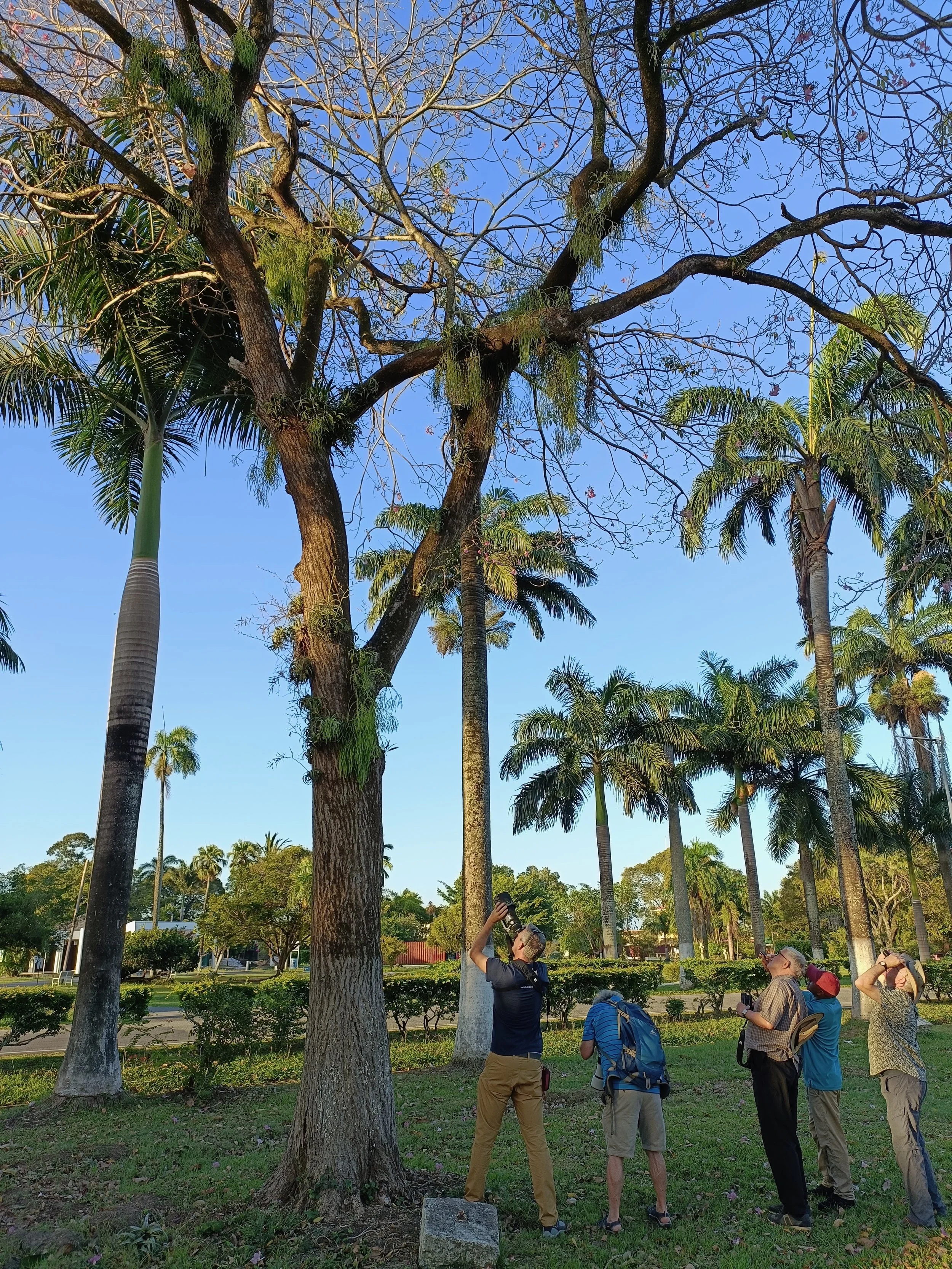 Birding Georgetown Botanic Garden