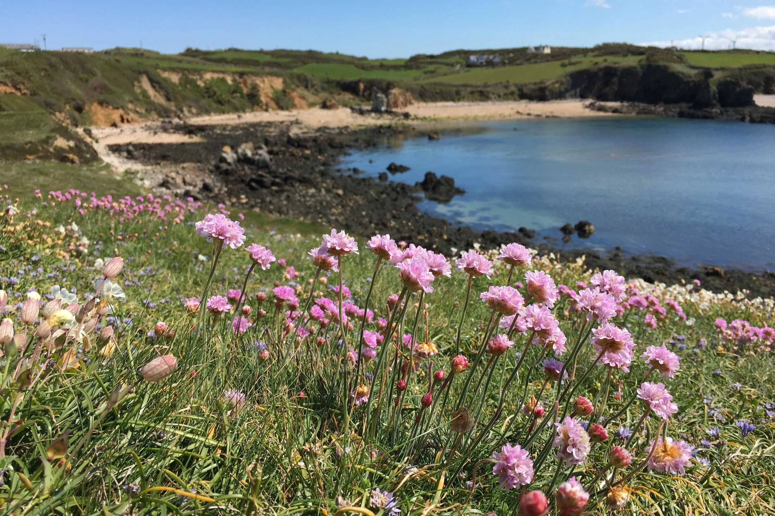 Coastal scene Anglesey, Wales by Dan Brown