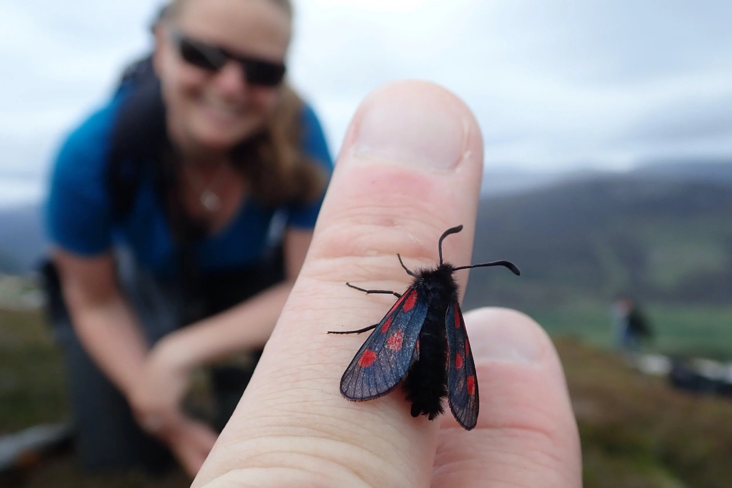 Mountain Burnett in the Cairngorms by Dan Brown