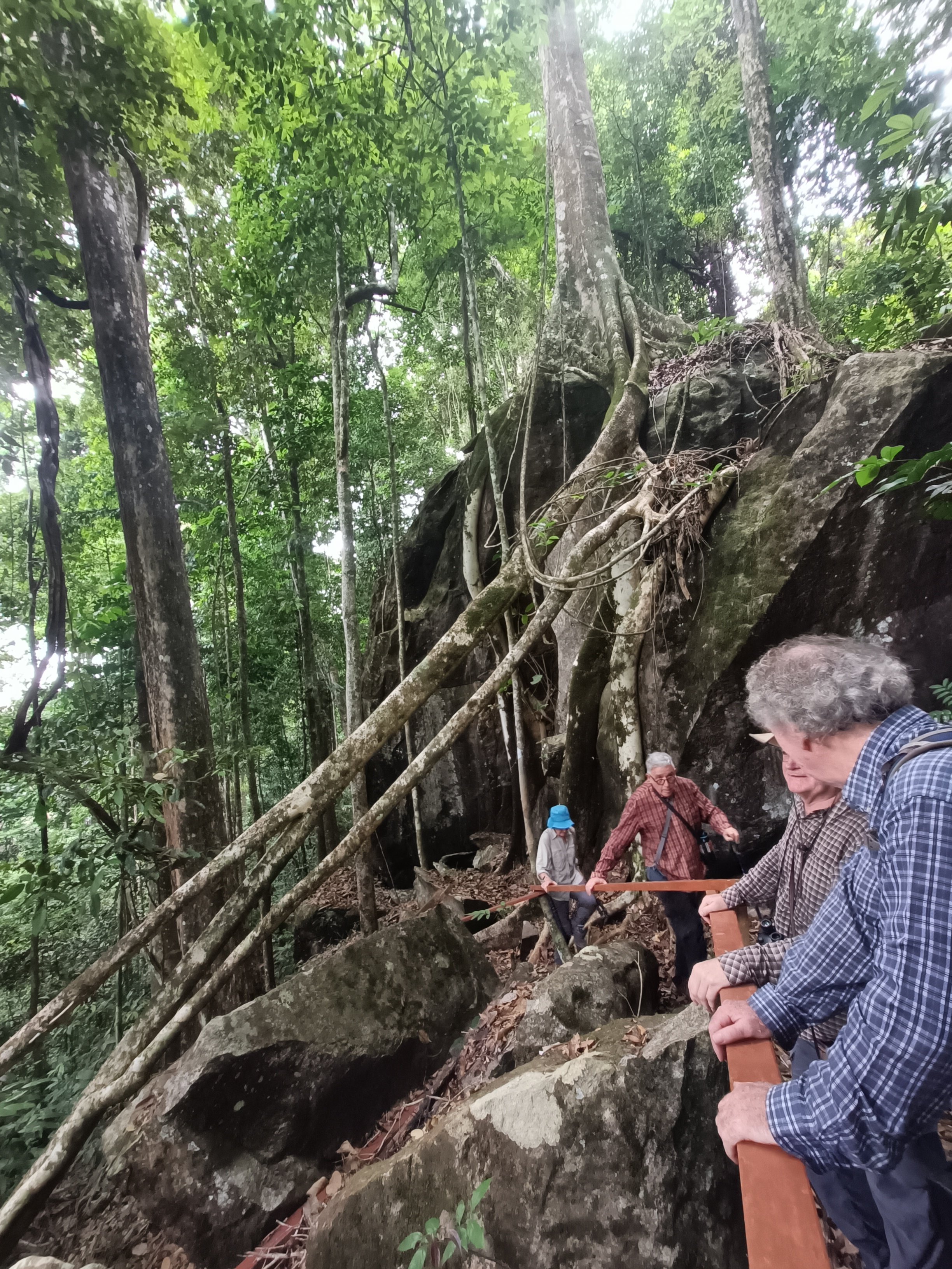 Exploring Turtle Mountain at Iwokrama