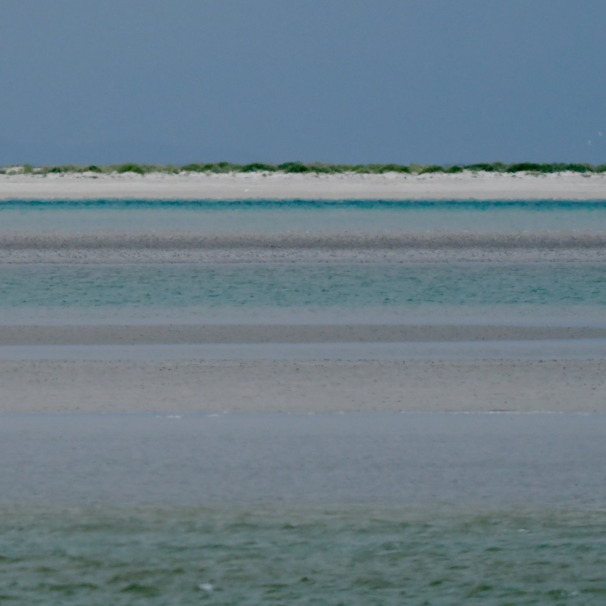 Endless pristine beaches
