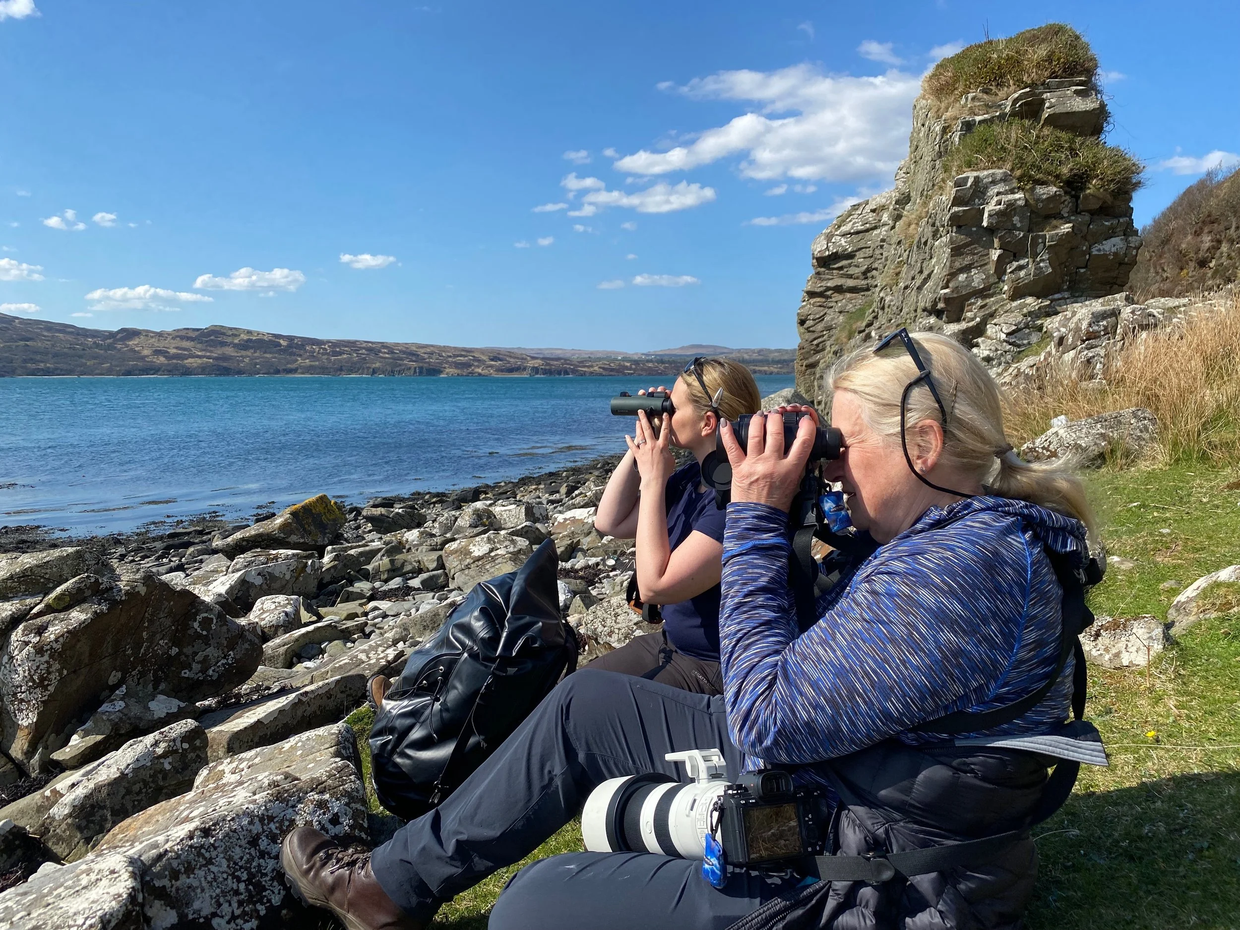 Otter spotting from Jura
