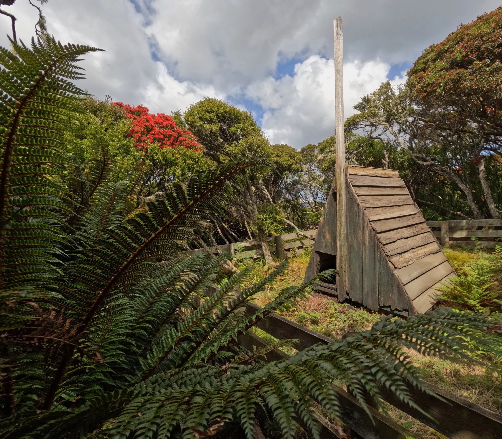 The Stella Hut, a refuge for ship wrecked sailors on Enderby