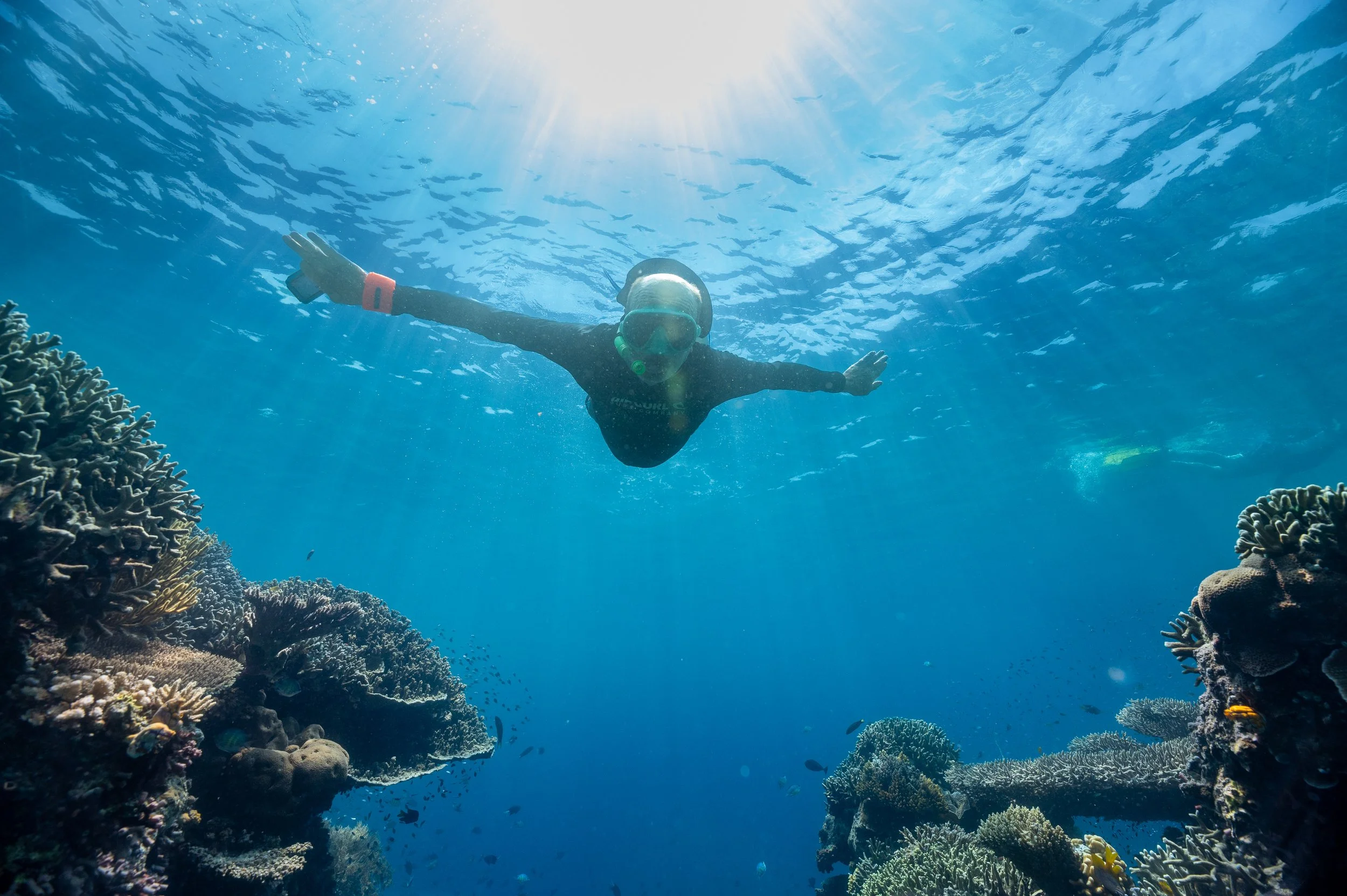 Snorkelling (c) S Bradley