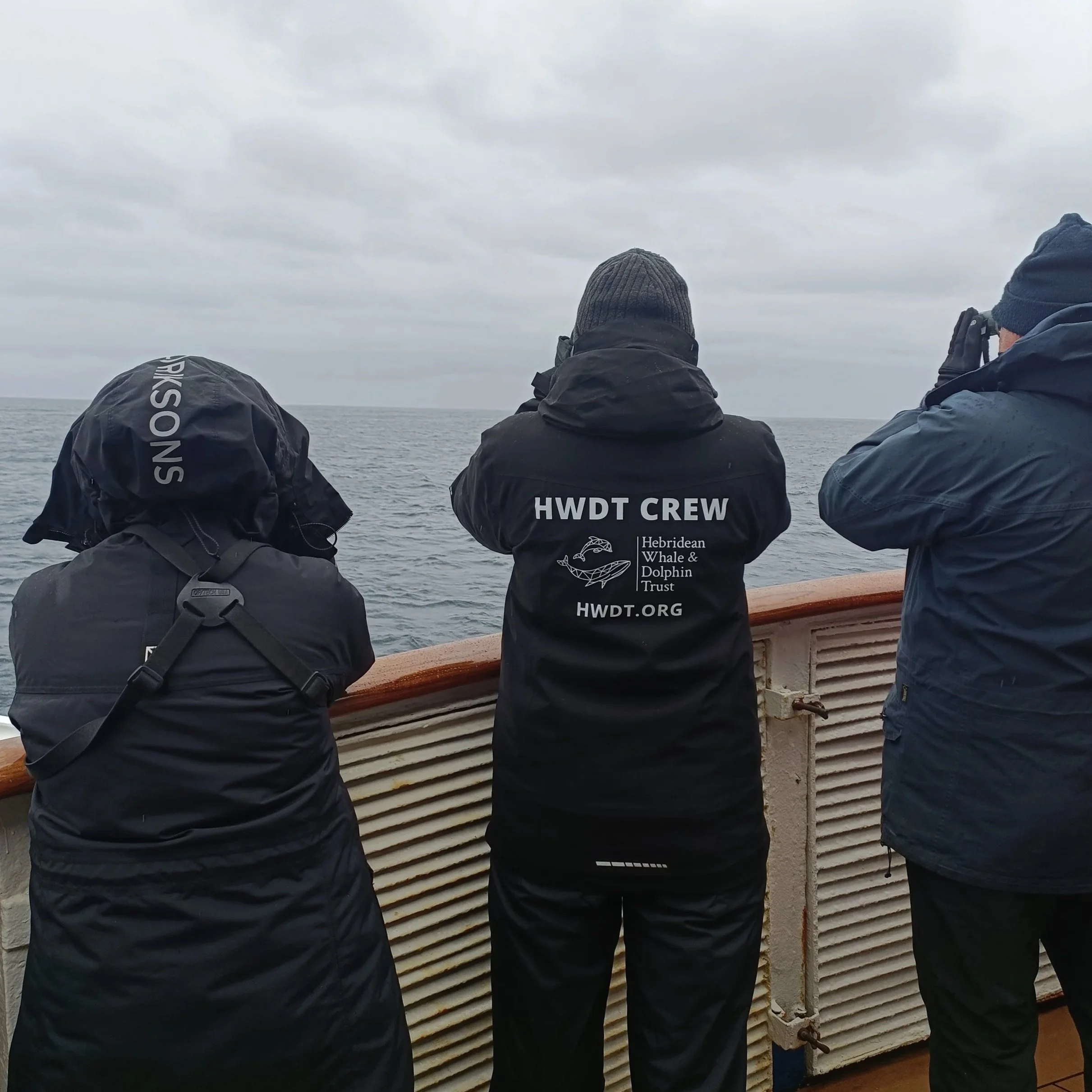 Alison Lomax with guests looking for whales, HWDT
