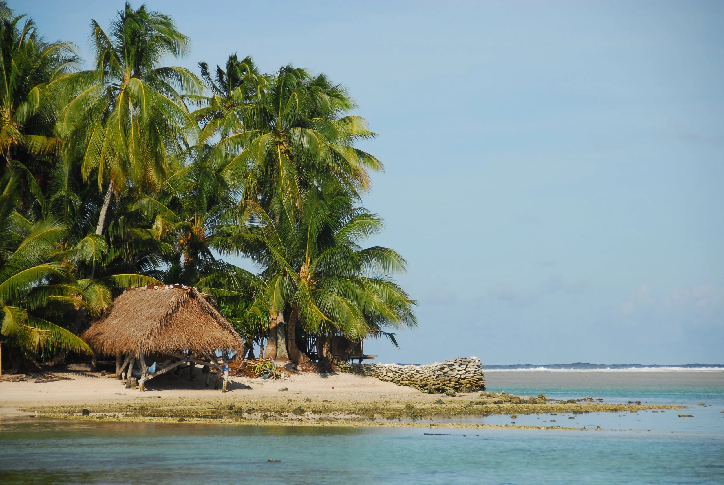 Micronesia Island (c) A Russ